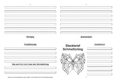 Schmetterling-Faltbuch-vierseitig-3.pdf